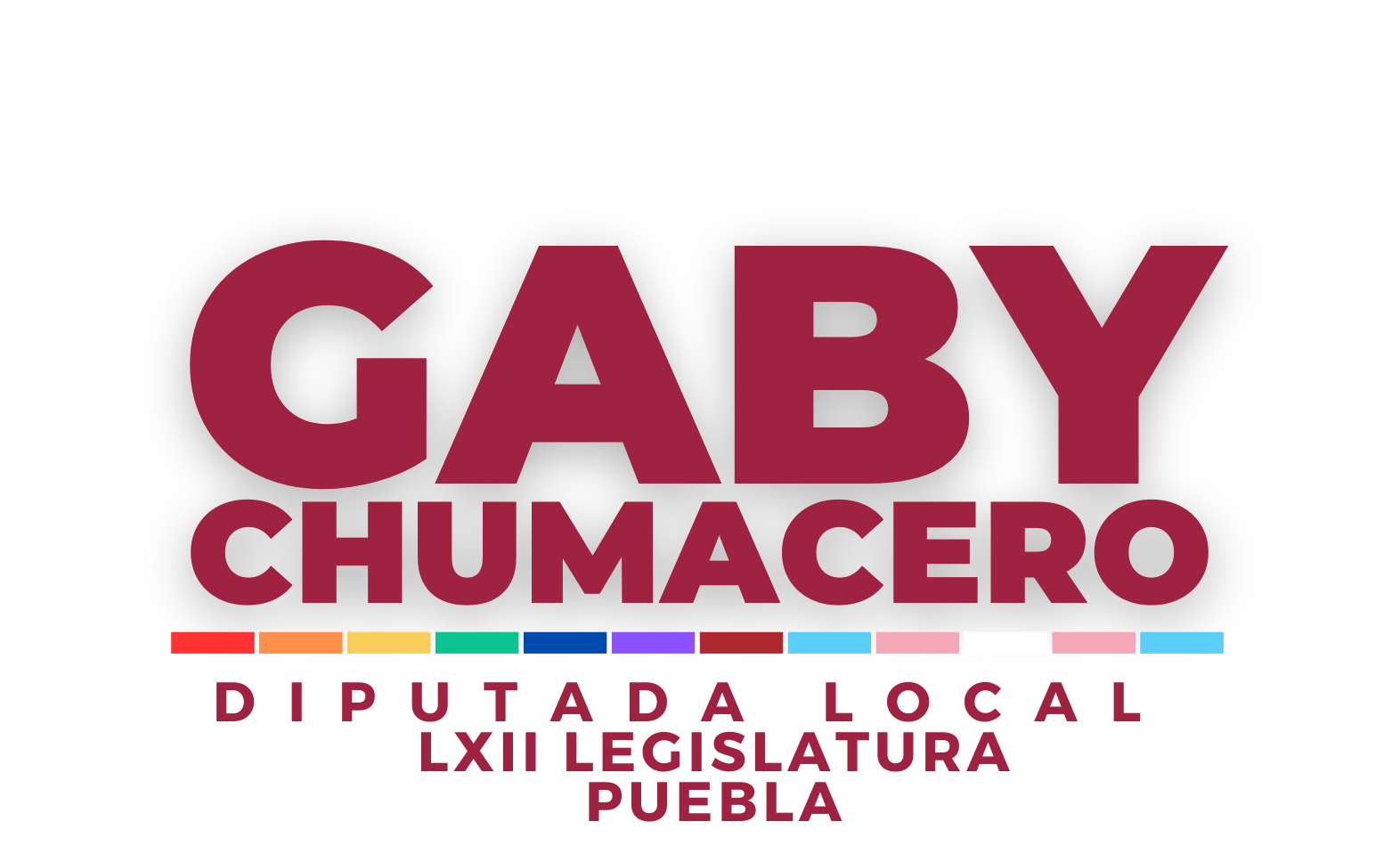 Gaby Chumacero · Diputada local